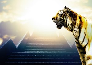 「『岐路』に向き合い、突進するトラ年に」