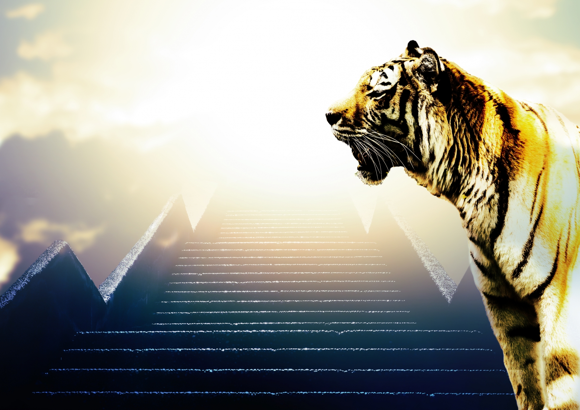 「『岐路』に向き合い、突進するトラ年に」