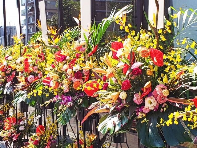 開業支援機能｜FC本部に必要な機能 -6-