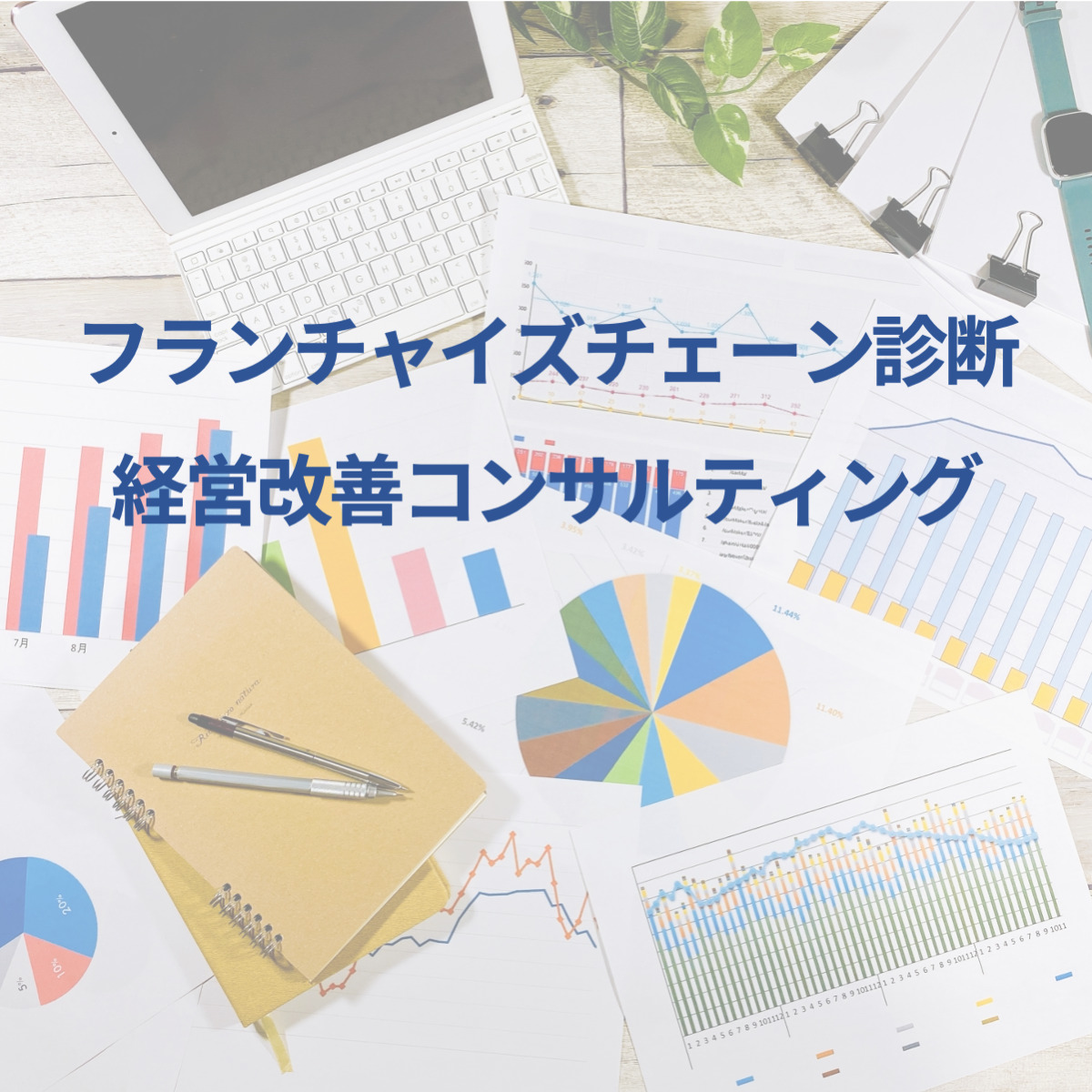 フランチャイズチェーン診断・経営改善コンサルティング